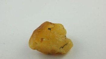 bursztyn bałtycki żółty kora niepolerowany natura 21,7 g